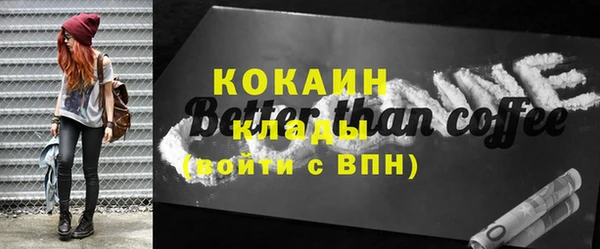 амф Каменка