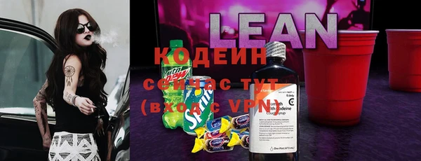 амф Каменка
