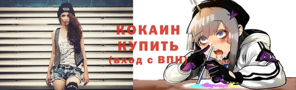 амф Каменка