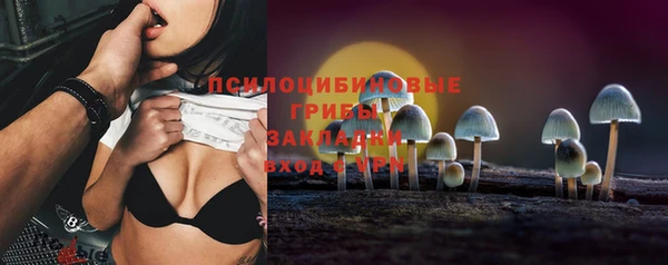 прущая мука Каменногорск