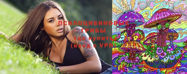 прущая мука Каменногорск