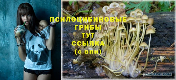 амф Каменка