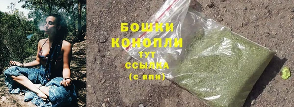 амф Каменка