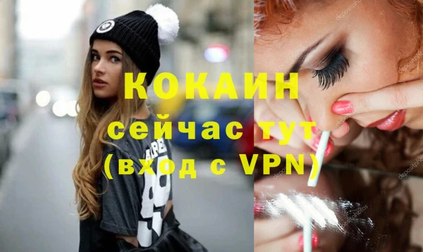 амф Каменка