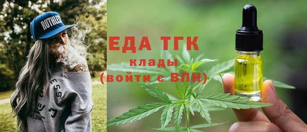 амф Каменка