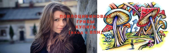 прущая мука Каменногорск